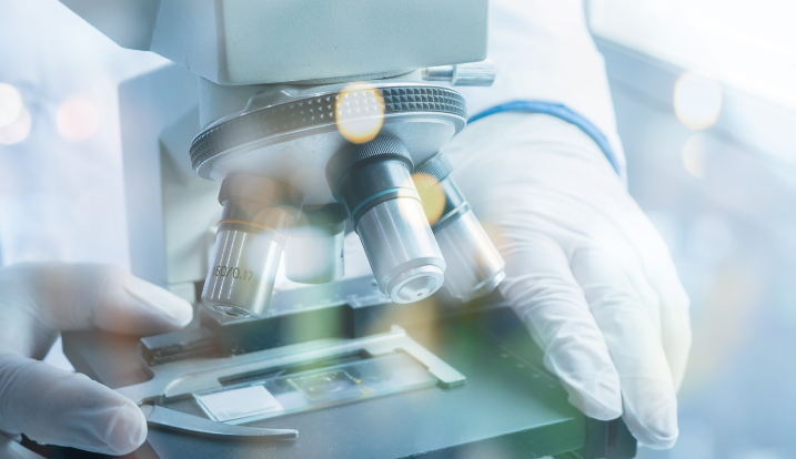 Korepetycje – Przygotowanie do Matury Rozszerzonej z Biologii