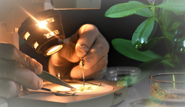 Korepetycje – Przygotowanie do bieżących sprawdzianów i kartkówek z Biologii (Poziom Podstawowy)