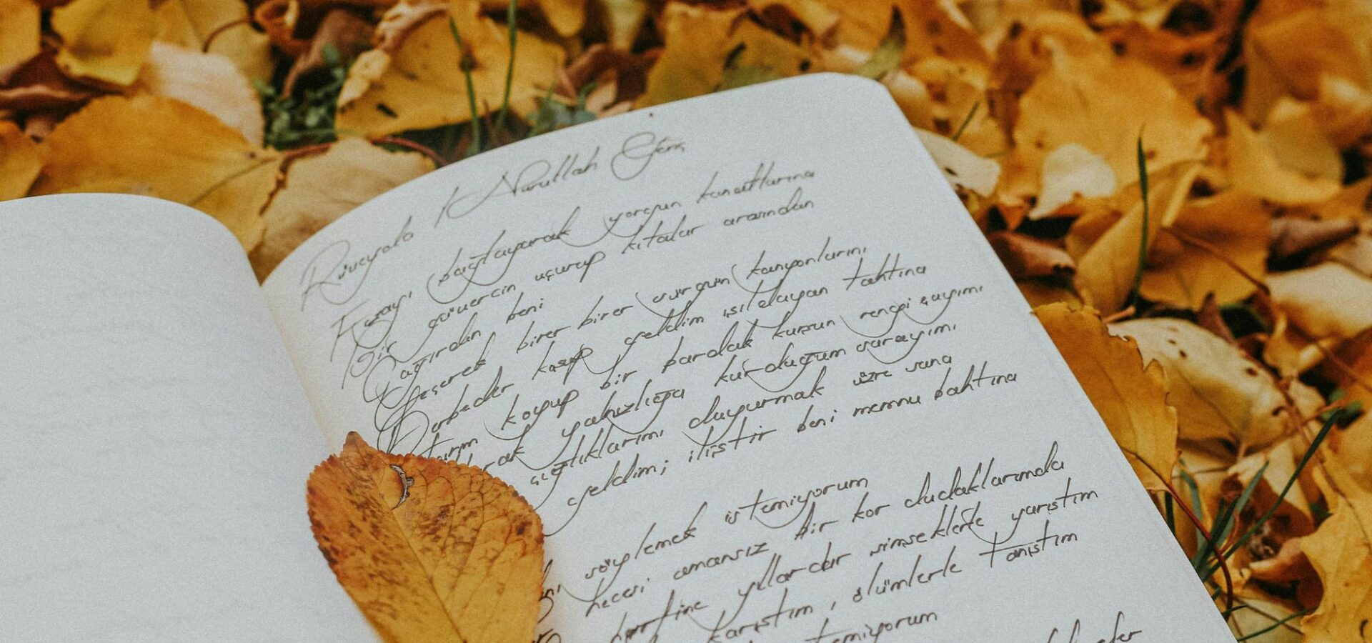 Jak napisać streszczenie tekstu