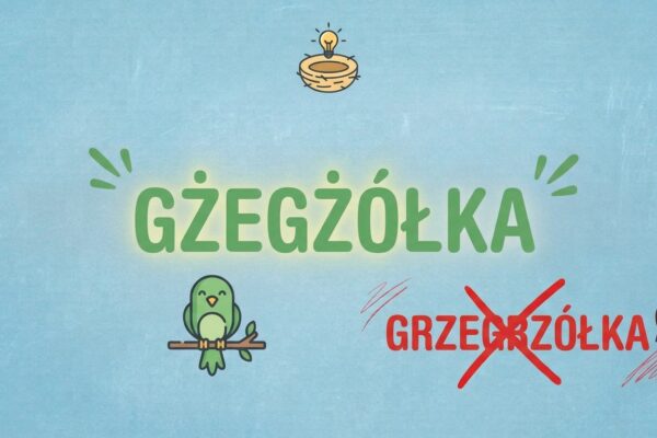 Ilustracja z ptaszkiem i zielonym napisem "GŻEGŻÓŁKA" oraz przekreślonym błędnym zapisem "GRZEGRZÓŁKA".